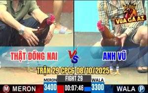 Trận 29 CPC6 8/10/2025