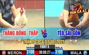 Trận 5 CPC6 7/10/2025