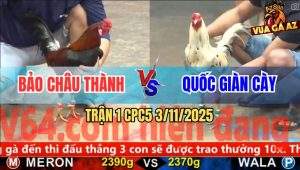 Trận 1 CPC5 3/11/2025 - Anh Bảo Châu Thành Và Anh Quốc Giàn Cày