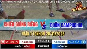 Trận 1 TonHon 28/11/2025 - Anh Đuôn Bắt Gà Nhận Thua Để Cứu Chiến Kê
