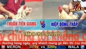 Trận 10 CPC5 26/11/2025 - Gà Bướm Thuận Nhảy Phát Nào Bị Đâm Phát Đó