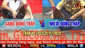 Trận 10 CPC5 9/11/2025 - Anh Sang Đồng Tháp Và Anh Mười Đồng Tháp
