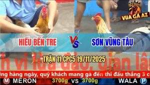 Trận 11 CPC5 19/11/2025 - Gà Cú Anh Hiếu Có Chân Xạo Lờ Đưa Biện Đi Xa