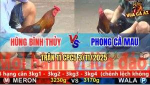Trận 11 CPC5 3/11/2025 - Anh Hùng Bình Thủy Và Anh Phong Cà Mau