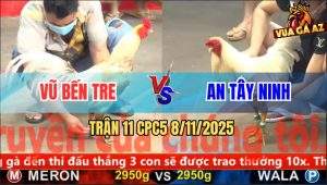 Trận 11 CPC5 8/11/2025 - Anh Vũ Bến Tre Và Anh An Tây Ninh