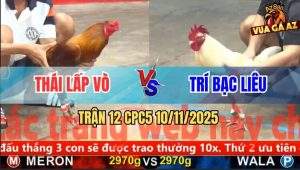 Trận 12 CPC5 10/11/2025 - Anh Thái Lấp Vò Và Anh Trí Bạc Liêu