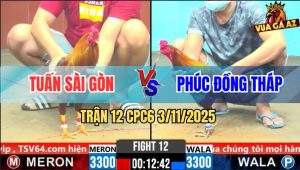 Trận 12 CPC6 3/11/2025 - Que Toàn Đá Lưng Trời Cứu Gà Khét Không Nổi