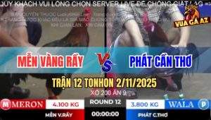 Trận 12 TonHon 2/11/2025 - Anh Bảo Sting Thả Giùm Đá 3 Chân Đỏ Xì Cơm