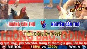 Trận 13 CPC5 16/11/2025 - Anh Hoàng Cần Thơ Và Anh Nguyên Cần Thơ