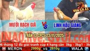Trận 13 CPC5 23/11/2025 - Bướm Gãy Chân Vẫn Đá Cú Ói Máu Nằm Bẹp Dí