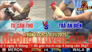 Trận 13 CPC5 4/11/2025 - Anh Tư Cần Thơ Và Anh Trà An Biên