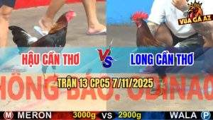 Trận 13 CPC5 7/11/2025 - Anh Hậu Cần Thơ Và Anh Long Cần Thơ