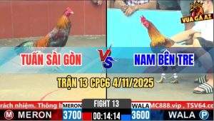 Trận 13 CPC6 4/11/2025 - Mồng Lá Má Mồng Dâu, Đâm Đâu Dính Đó