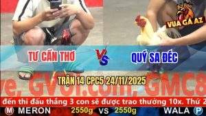 Trận 14 CPC5 24/11/2025 - Gà Úa Anh Quý So So Để Cây Cần Điều Tắt Thở