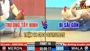 Trận 14 CPC6 5/11/2025 - Gà Úa Anh Bi Sài Gòn Đâm Cựa Quá Nghiệt