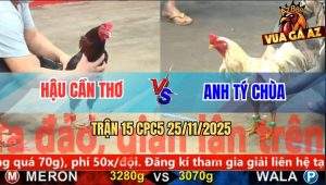 Trận 15 CPC5 25/11/2025 - Điều Đâm Bướm Hiệu Tý Chùa Chạy Kêu Ót Ót