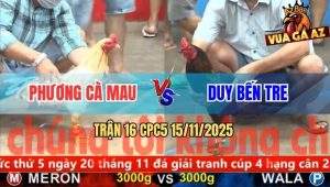 Trận 16 CPC5 15/11/2025 - Anh Phương Cà Mau Và Anh Duy Bến Tre