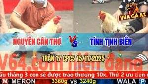 Trận 17 CPC5 15/11/2025 - Anh Nguyên Cần Thơ Và Anh Tính Tịnh Biên