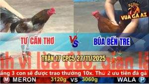 Trận 17 CPC5 27/11/2025 - Xám Chân Xanh Anh Tư Cần Thơ Tải Cựa Quá Lực