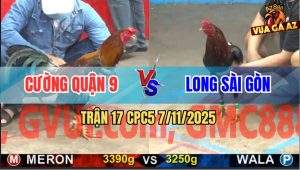 Trận 17 CPC5 7/11/2025 - Anh Cường Quận 9 Và Anh Long Sài Gòn