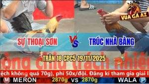 Trận 18 CPC5 19/11/2025 - Chuối Lửa Anh Sự Kẹp Cặp Ngực Điều Lật Xe