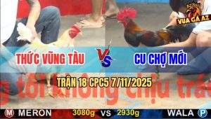 Trận 18 CPC5 7/11/2025 - Anh Thức Vũng Tàu Và Anh Cu Chợ Mới