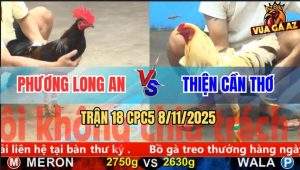 Trận 18 CPC5 8/11/2025 - Anh Phương Long An Và Anh Thiện Cần Thơ