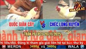 Trận 19 CPC5 20/11/2025 - Úa Anh Chéc Đâm Bướm Anh Quốc Không Kịp Thở