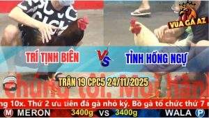 Trận 19 CPC5 24/11/2025 - Bướm Anh Tỉnh Nuốt Ói Đâm Phèn Gục Đầu