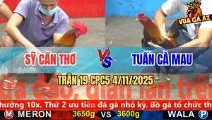 Trận 19 CPC5 4/11/2025 - Anh Sỹ Cần Thơ Và Anh Tuấn Cà Mau