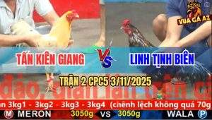 Trận 2 CPC5 3/11/2025 - Anh Tấn Kiên Giang Và Anh Linh Tịnh Biên