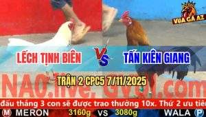 Trận 2 CPC5 7/11/2025 - Anh Lếch Tịnh Biên Và Anh Tấn Kiên Giang