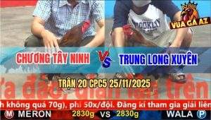 Trận 20 CPC5 25/11/2025 - Que Anh Chương Quá Trâu Xanh Đâm Không Thấm