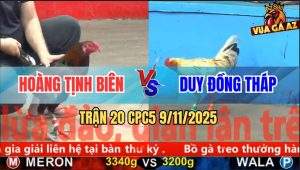 Trận 20 CPC5 9/11/2025 - Anh Hoàng Tịnh Biên Và Anh Duy Đồng Tháp