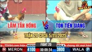 Trận 20 CPC6 5/11/2025 - Bướm Anh Ton Kém 3 Chấm Đâm Gà Cú Nhấc Người