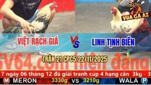 Trận 21 CPC5 22/11/2025 - Bướm Đâm Cây Hiểm Chuối Gục Trong Biển Máu