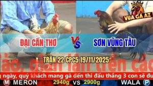 Trận 22 CPC5 19/11/2025 - Que Cọp Anh Sơn Xin Nhẹ Gà Cú Anh Đại 1 Giò