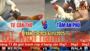 Trận 22 CPC5 6/11/2025 - Gà Anh Tư Cần Thơ May Độ, Lụm 3 Cái Liên Tiếp