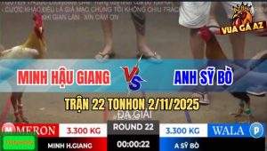 Trận 22 TonHon 2/11/2025 - Anh Minh Hậu Giang Gặp Anh Sỹ Bò