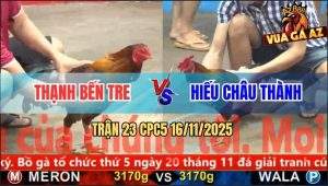 Trận 23 CPC5 16/11/2025 - Anh Thạnh Bến Tre Và Anh Hiếu Châu Thành