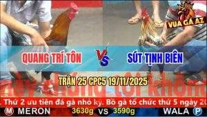 Trận 25 CPC5 19/11/2025 - Xám Bông Đâm Điều Anh Quang Chạy La Làng