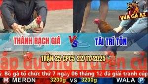 Trận 25 CPC5 22/11/2025 - Điều Đá 1 Tăng Anh Thành Đem Chuối Về Cúng