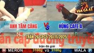 Trận 26 CPC5 20/11/2025 - Anh Tâm Càng Gặp Anh Hùng Cafe A