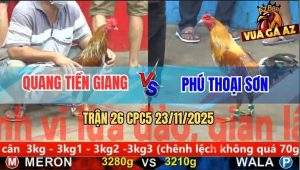 Trận 26 CPC5 23/11/2025 - Gà Xám Anh Phú Đâm Gà Xám Anh Quang La Làng