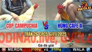 Trận 26 CPC5 6/11/2025 - Anh Cọp Campuchia Gặp Anh Hùng Cafe A