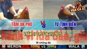 Trận 27 CPC5 16/11/2025 - Anh Tâm An Phú Và Anh Tư Tịnh Biên