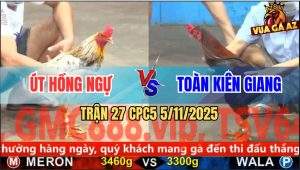Trận 27 CPC5 5/11/2025 - Anh Út Hồng Ngự Và Anh Toàn Kiên Giang