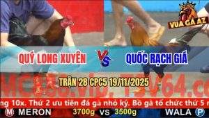 Trận 28 CPC5 19/11/2025 - Điều Xanh Áp Sáp Đâm Điều Đỏ Kêu Miêng