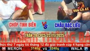 Trận 28 CPC5 22/11/2025 - Anh Châu Chấp 5 Lạng, Vẫn Lụm Tiền Ngọt Lịm