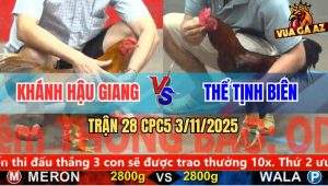 Trận 28 CPC5 3/11/2025 - Anh Khánh Hậu Giang Và Anh Thể Tịnh Biên